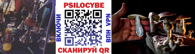 мега   Нижний Тагил  Галлюциногенные грибы GOLDEN TEACHER 